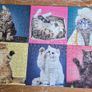 Jigsaw 4x500 cats Image 3