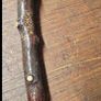 Blackthorn walking sticks Image 9