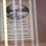 Tanglewood 12 String Image 5