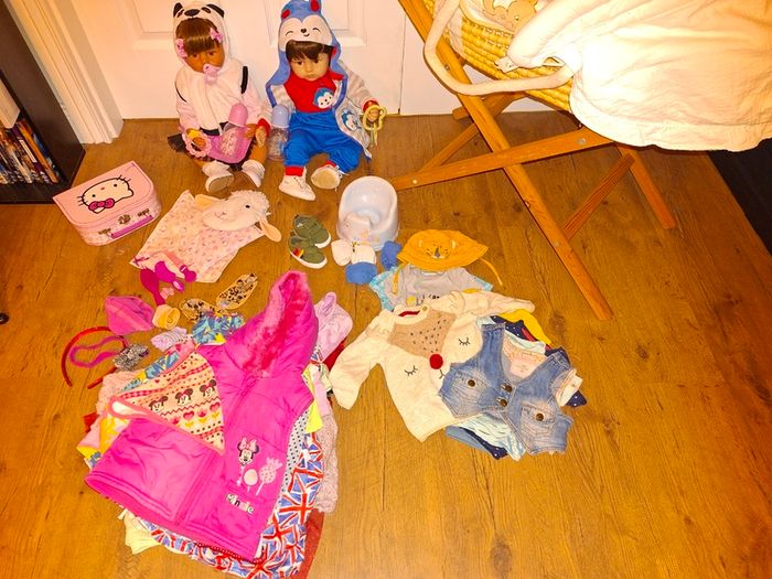 2 Reborn Baby Dolls+Moses basket+over 50 pieces of clothing and accessories, excellent condition