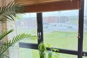 Blinds wood-style set of 3