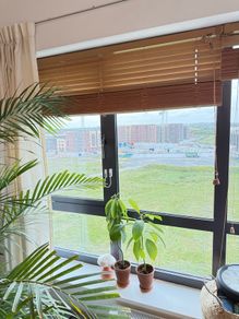 Blinds wood-style set of 3