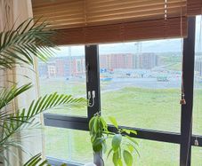 Blinds wood