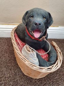 ornament   labrador Black dog