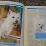 Guide to Owning WestHighland Terrier, Book, Non fiction Image 3