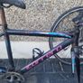 carrera frame Image 2