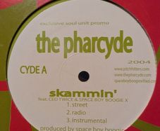 Hip Hop and Pop 12 inch singles