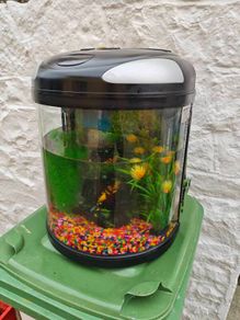 Fish Tank
