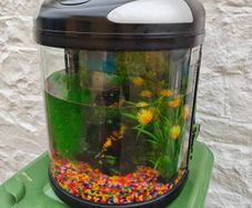 Fish Tank