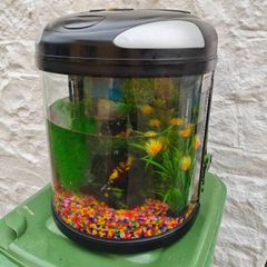 Fish Tank