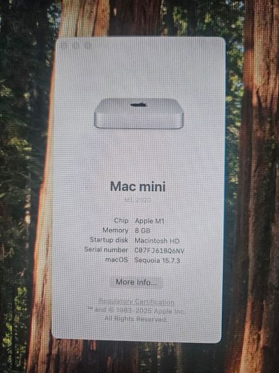 Mac Mini M1 8gb 256GB