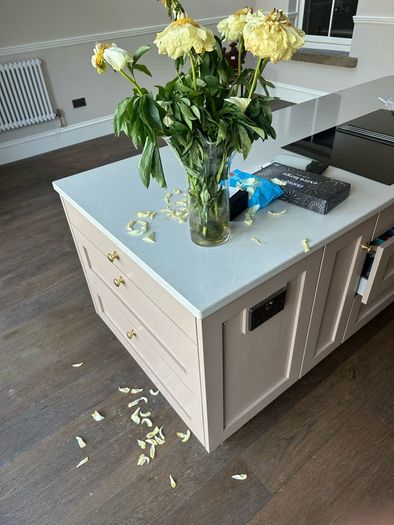 Blum Merivobox Drawers and Solid Shaker Fronts