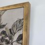 Atelier Printworks Apple Tree Gold Framed Canvas Print Image 5