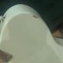 fender tele Image 5