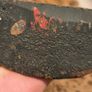 100 Year Old  Cast Iron Rooster Doorstop Pattern Image 3