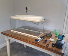 Fishtank.