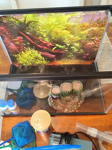 Fish tank