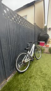 apollo sprinter
