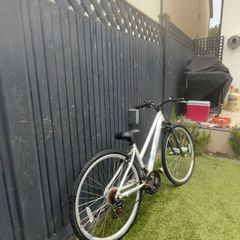 apollo sprinter