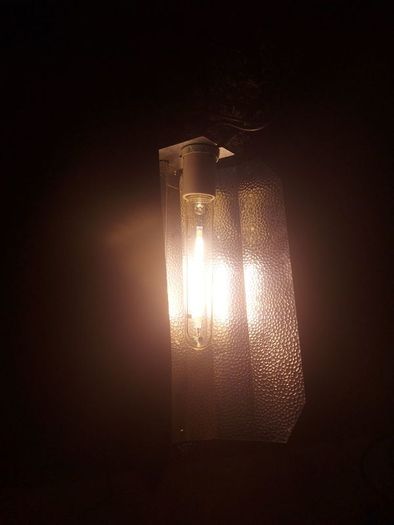plant lamp