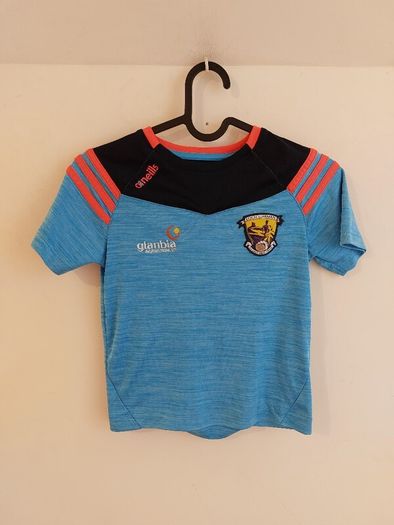wexford gaa jersey