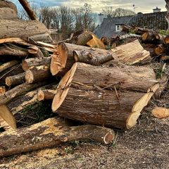 firewood logs cut last autumn to takeaway  FREE ready to burn
