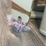 Cot Image 3