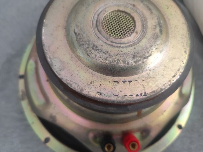 Subwoofer 10" driver
