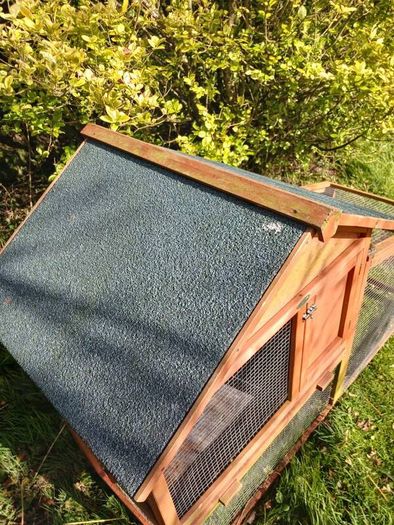 rabbit house
