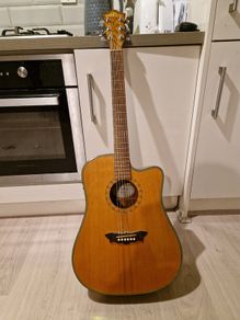 Washburn Acoustic guitar with Hiscox hardcase