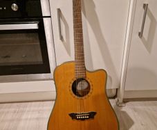 Washburn Acoustic guitar with Hiscox hardcase