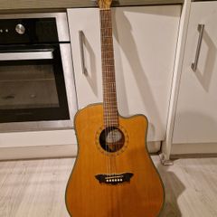Washburn Acoustic guitar