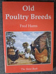 Old Poultry Breeds / Fred Hams / 2000
