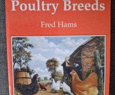 Old Poultry Breeds / Fred Hams / 2000