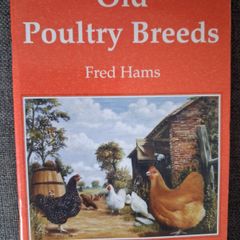 Old Poultry Breeds / Fred Hams / 2000