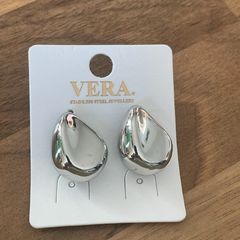 Stainless steel earrings