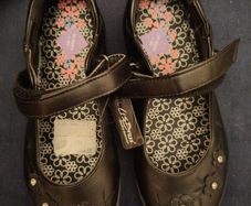 shoe