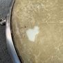 Pearl Tavel Congas Image 7
