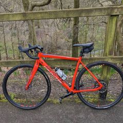 Gravel Road Bike Whyte Friston Size M 29"