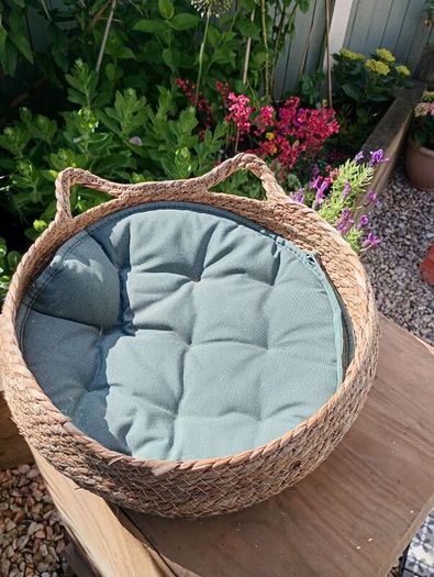Cat bed