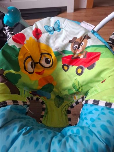 Baby Einstein Neighbourhood Friends Activity Jumper
