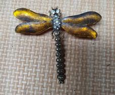 Brooches