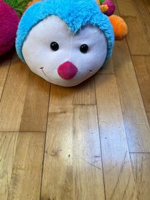 teddy