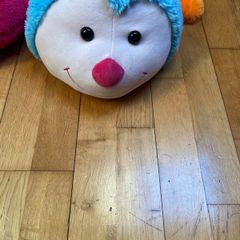 teddy