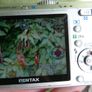 Pentax Optio S55 5MP Digital Camera with 3x Optical Zoom - VGC and SD Card Image 8