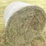 Round bales of Hay Image 4