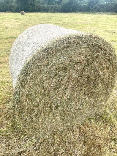 Round bales of Hay