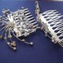 2 Beautiful Hair Slides / Pieces Image 2