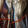 saucony running track spikes Image 2