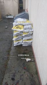 firewood and coyle coal
